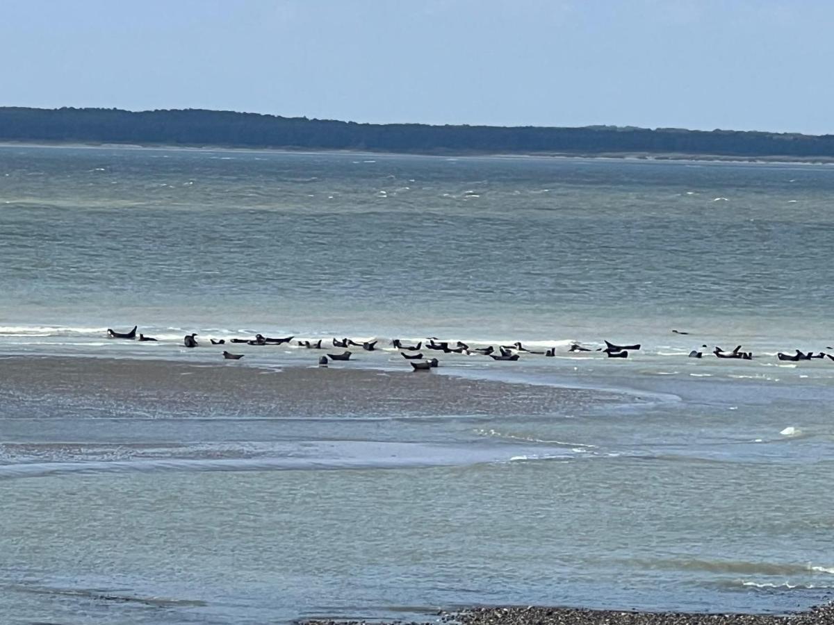 Plage A 50M Appartement Reves Tranquilles Villa Les Bains De Mers エクステリア 写真